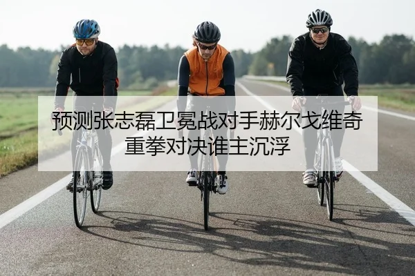预测张志磊卫冕战对手赫尔戈维奇 重拳对决谁主沉浮